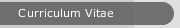 Curriculum Vitae